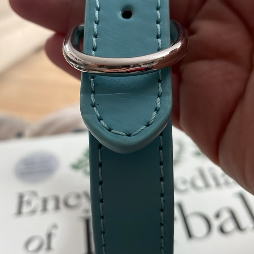 Light Blue Collar - Picture 3 of 5